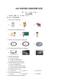 江苏省盐城市初级中学2023-2024学年九年级上学期期中英语试卷