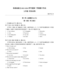 湖北省武汉市东湖高新区2023-2024学年上学期期中考试九年级英语试卷