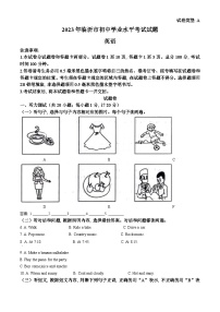 2023年山东省临沂市中考英语真题 （解析版）