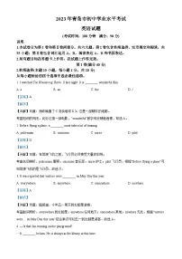 2023年山东省青岛市中考英语真题 （解析版）