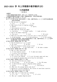 河南省周口市沈丘县中英文学校等校2023-2024学年九年级上学期11月期中英语试题