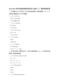 2023-2024学年河南省洛阳市洛龙区七年级上学期期中英语试卷（含答案）