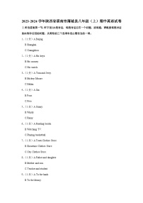 陕西省渭南市蒲城县2023-2024学年八年级上学期期中英语试卷