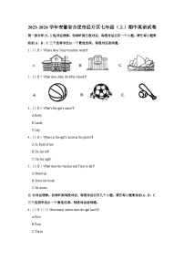 安徽省合肥市经开区2023-2024学年七年级上学期期中英语试卷