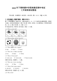 湖南省郴州市永兴县树德教育集团2023-2024学年七年级上学期11月期中英语试题