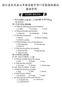 浙江省湖州市长兴县华盛达实验中学两校11月联考2023-2024学年七年级上学期11月月考英语试题