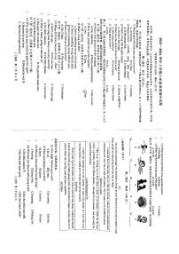 河南省新乡市第十中学2023-2024学年八年级上册期中测试英语试题