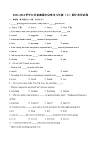 2023-2024学年江苏省南通市启东市九年级（上）期中英语试卷（含解析）