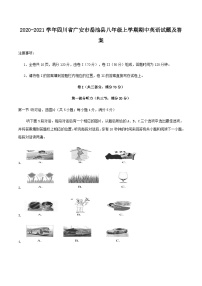 2020-2021学年四川省广安市岳池县八年级上学期期中英语试题及答案