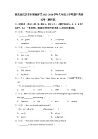 湖北省武汉市东湖高新区2023-2024学年九年级上学期期中英语试卷