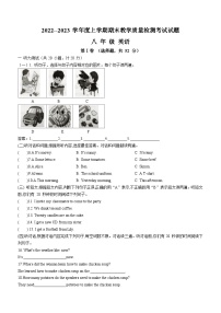 山东省临沂市蒙阴县2022-2023学年八年级上学期期末考试英语试题