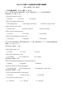 湖南省衡阳市外国语学校2023-2024学年九年级上学期期中英语试卷