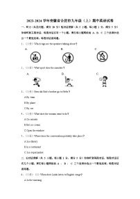 安徽省合肥市2023-2024学年九年级上学期期中英语试卷