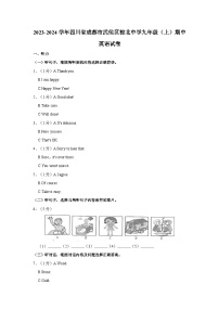 四川省成都市武侯区棕北中学2023-2024学年九年级上学期11月期中英语试题