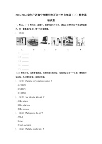 广西南宁市横州市横县百合镇第三初级中学2023-2024学年七年级上学期期中英语试卷