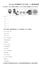 海南省万宁市2023-2024学年上学期八年级 期中英语试卷