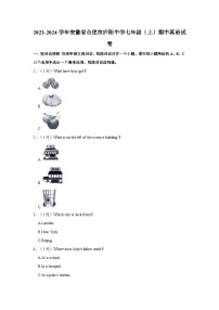 2023-2024学年安徽省合肥市庐阳中学七年级上学期期中英语试卷（含答案）