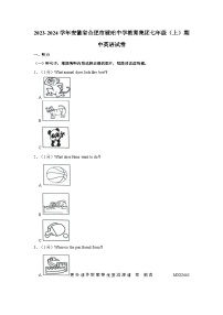 安徽省合肥市琥珀中学教育集团2023-2024学年七年级上学期期中英语试卷