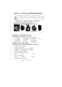 海南省澄迈县2023-2024学年九年级上学期期中检测英语试题