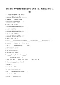 2022-2023学年湖南省邵阳市绥宁县七年级（上）期末英语试卷（A卷（含详细答案解析）