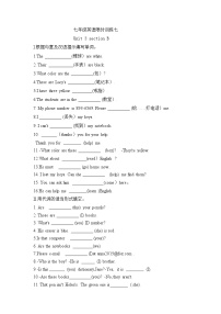 人教新目标 (Go for it) 版七年级上册Section B一课一练