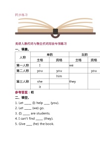 英语人称代词与物主代词用法专项练习