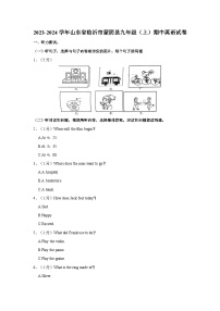 山东省临沂市蒙阴县2023-2024学年九年级上学期期中英语试卷