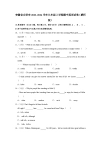 安徽省合肥市2023-2024学年九年级上学期期中英语试卷