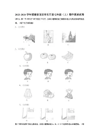 2023-2024学年福建省龙岩市长汀县七年级上学期期中英语试卷（含答案）