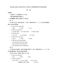 河南省新乡市封丘县2022-2023学年七年级上学期期末英语试卷