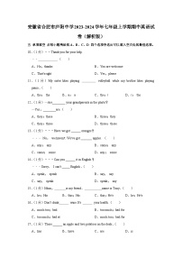 安徽省合肥市庐阳中学2023-2024学年七年级上学期期中英语试卷