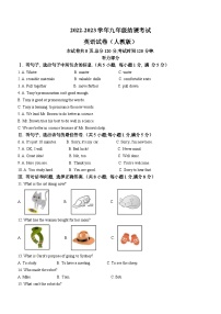 河北省石家庄市河北师范大学附属实验中学2022-2023学年九年级上学期期末英语试题