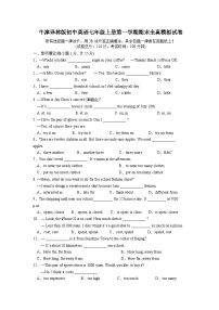 江苏省徐州市树人中学2023-2024学年牛津译林版七年级上学期期末全真模拟试英语试卷