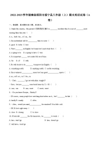 2022-2023学年湖南省邵阳市绥宁县八年级（上）期末英语试卷（A卷）（含详细答案解析）