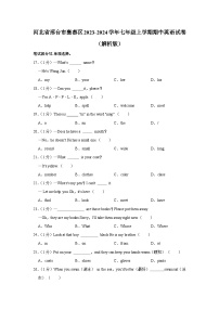 河北省邢台市襄都区2023-2024学年七年级上学期期中英语试卷