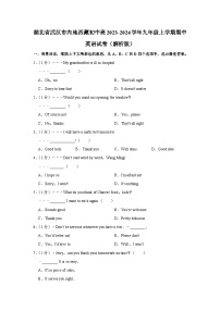 湖北省武汉市内地西藏初中班九校2023-2024学年九年级上学期期中英语试卷