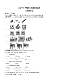 湖南省岳阳市临湘市2022-2023学年七年级上学期期末质量检测英语试题