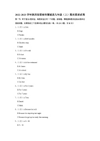 陕西省渭南市蒲城县2022-2023学年九年级上学期期末英语试卷