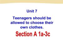 人教新目标 (Go for it) 版九年级全册Unit 7 Teenagers should be allowed to choose their own clothes.Section A图文课件