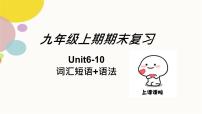 人教版英语九年级全册期末复习Unit6-10点词汇短语+语法课件