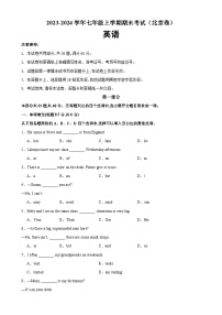 七年级英语上学期期末考试（北京卷）-2023-2024学年七年级英语上册单元重难点易错题精练（人教版）