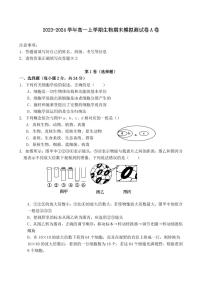 云南省昆明市九县区2023－2024学年七年级上学期期末检测英语试题