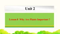 英语冀教版Unit 2 Plant a PlantLesson 8 Why Are Plants Important?备课ppt课件