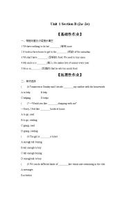 初中英语人教新目标 (Go for it) 版八年级上册Section B习题