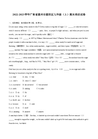 2022-2023学年广东省惠州市惠阳区九年级（上）期末英语试卷（含详细答案解析）