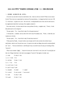 2022-2023学年广东省阳江市阳西县九年级（上）期末英语试卷（含详细答案解析）