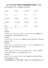 甘肃省天水市秦安县兴丰中学2023-2024学年九年级上学期期末英语试题