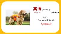 沪教牛津版(六三制)七年级下册Unit 3 Our animal friends.教课内容ppt课件