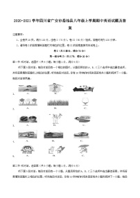 2020-2021学年四川省广安市岳池县八年级上学期期中英语试题及答案