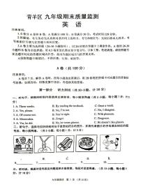 四川省成都市青羊区2023-2024学年九年级上学期期末英语试题